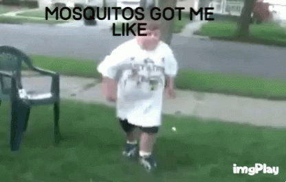 Mosquito GIF - Mosquito GIFs