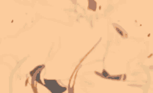 a black and white drawing of a person with a snake coming out of their mouth .