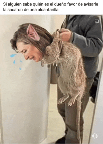 a picture of a woman holding a rat with the caption si alguien sabe quien es el dueno favor de avisarle