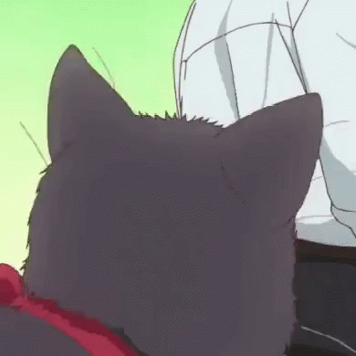 Haru Cats GIF - Haru Cats Anime GIFs
