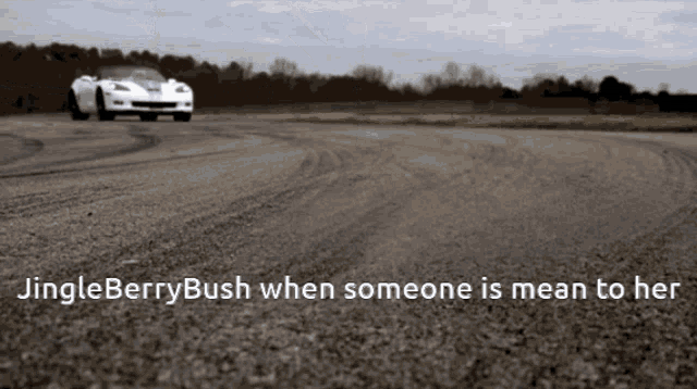 a white car is driving down a road with the words jingleberry bush when someone is mean to her