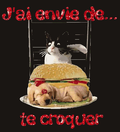 a cat is sitting on top of a hamburger with a puppy laying on the bottom