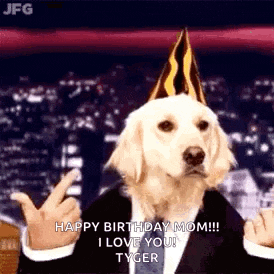 the dog is wearing a party hat and giving the middle finger .