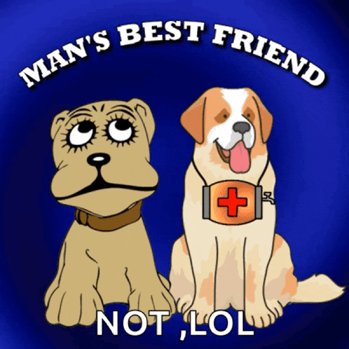 a man 's best friend not lol poster with two dogs