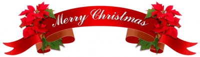 a merry christmas banner with poinsettia flowers on it