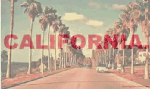 Cali California GIF - Cali California GIFs
