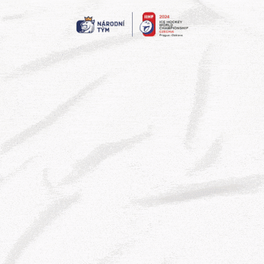 a poster for the ice hockey world championship shows a blurry picture of david pasti