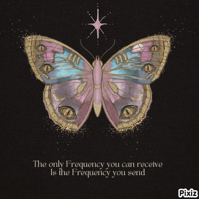a picture of a butterfly with a quote that says " the only frequency you can receive is the frequency you send "