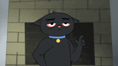 a black cat with a blue collar and a yellow medallion on his neck