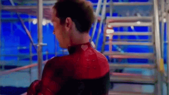 No Way Home Spiderman GIF - No Way Home Spiderman Tobey Maguire GIFs