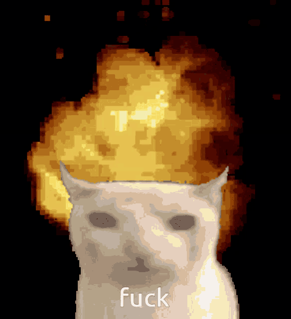 a pixelated image of a cat with the word fuck in the lower right corner