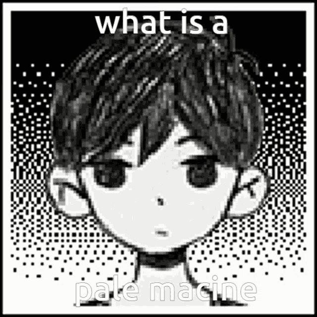 a black and white drawing of a boy 's face with the words what is a pale macine written below it .