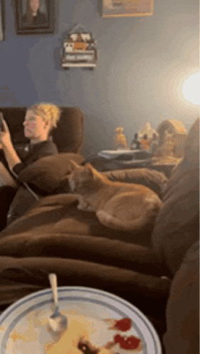 a cat laying on a couch next to a plate of food with a spoon in it