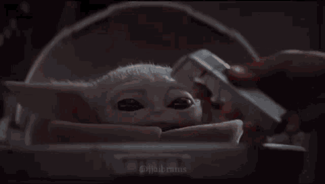 a person is holding a thermometer over the head of a baby yoda .