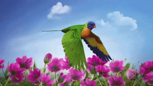 Passarinho Voando Flying Bird GIF - Passarinho Voando Flying Bird Bird GIFs