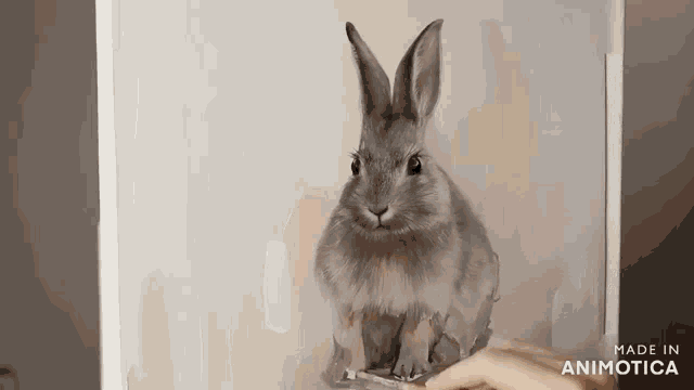 a painting of a rabbit with the words made in animotica below it