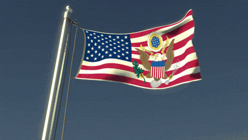 an american flag with a coat of arms on it is flying in the wind