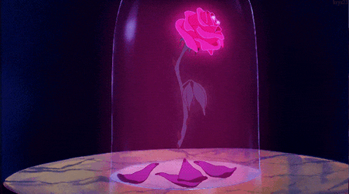 a pink rose in a glass dome with petals
