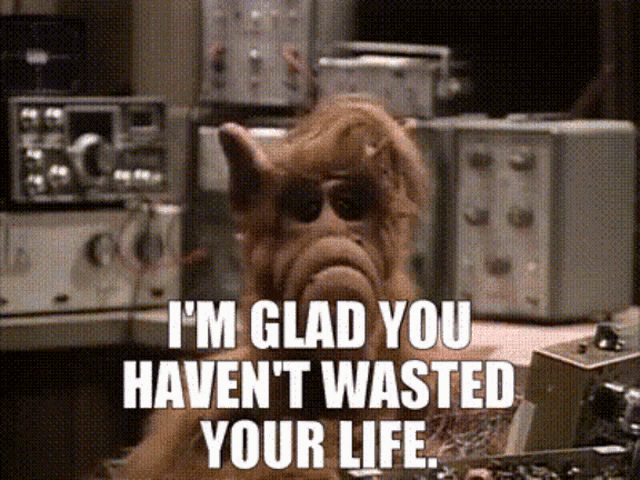 alf from the simpsons says " i 'm glad you haven t wasted your life "