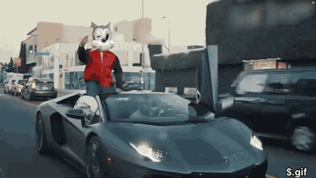 a man wearing a cat mask is driving a sports car