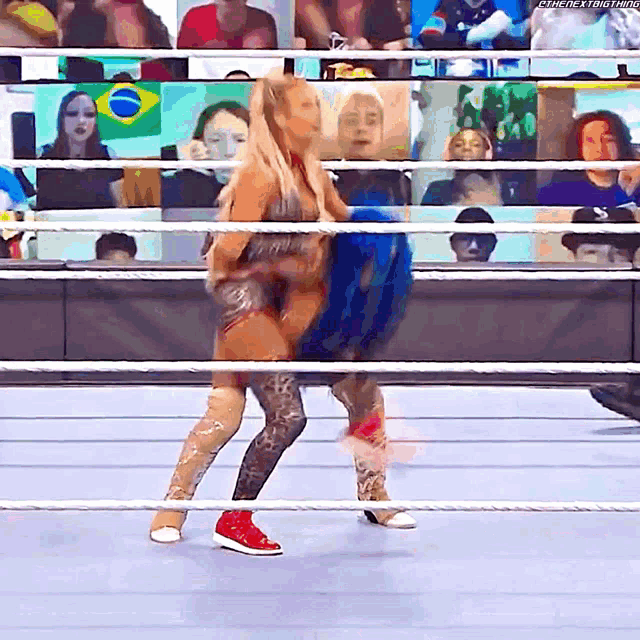 two women are wrestling in a wrestling ring with a crowd watching .