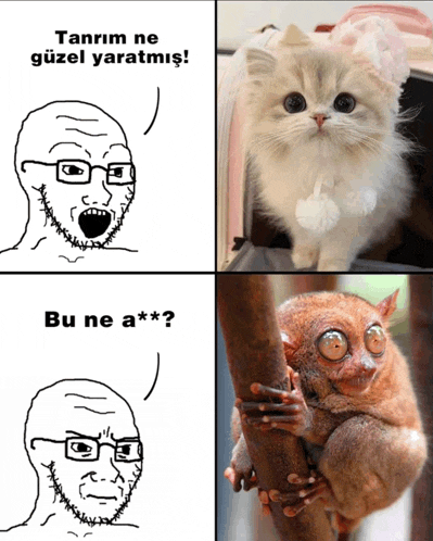 a drawing of a man with glasses says tanrim ne güzel yaratmiş bu ne a *** ?