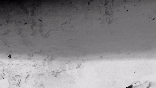a black and white photo of a gray surface with a lot of spots on it .