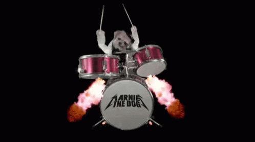 Dog Drums GIF - Dog Drums Fire GIFs