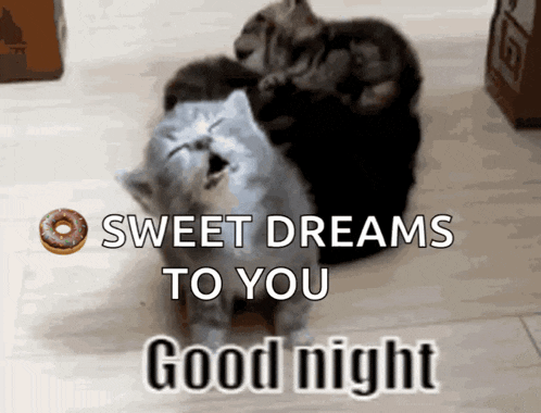 a picture of two cats and a donut that says sweet dreams to you