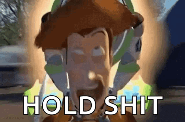 woody from toy story is screaming and says hold shit .