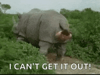 a rhinoceros is standing in a field with the words `` i can 't get it out '' written above it .