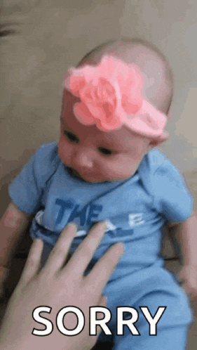 a baby with a pink flower on her head is being held by a person and says sorry .