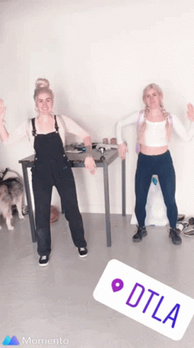 Party Alcohol GIF - Party Alcohol Dance GIFs