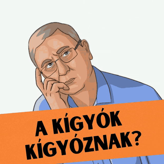 Dk Demokratikuskoalicio GIF - Dk Demokratikuskoalicio Hungary GIFs