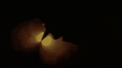 a close up of a pile of poop being eaten by a cat .