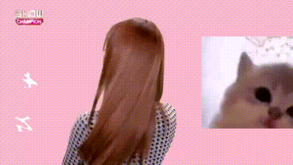 a woman with long hair is looking at a cat on a pink background .