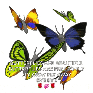 butterflies are beautiful butterflies are free to fly away bye bye