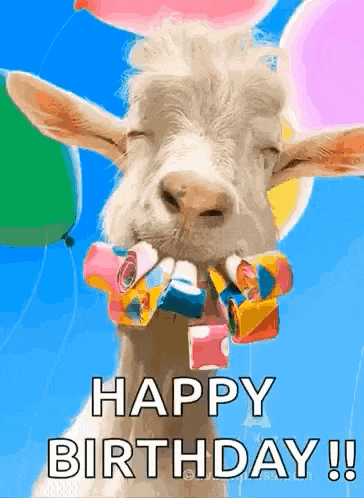 a goat with balloons and confetti in its mouth is saying happy birthday !