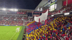 a crowd of people watching a soccer game in a stadium with a flag flying in the air