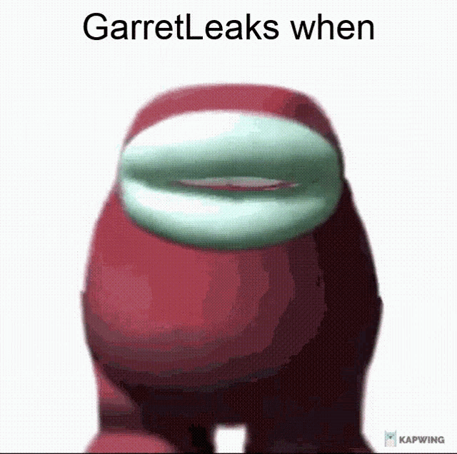 Garret Leaks GIF - Garret Leaks Garret GIFs