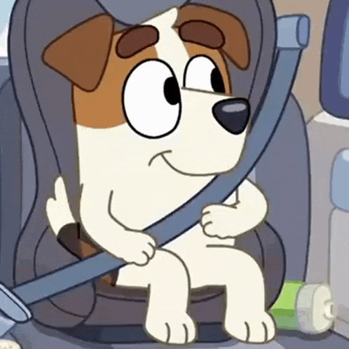 a brown and white dog is sitting in a car seat with a seat belt on .