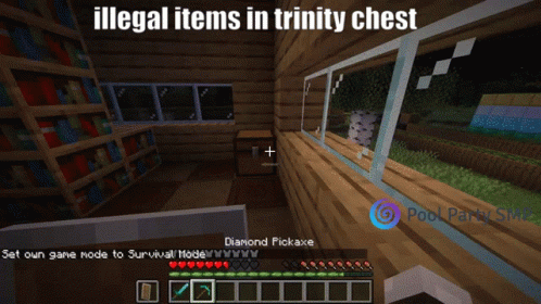 Trinity Illegal Items GIF - Trinity Illegal Items Pool Party Smp GIFs