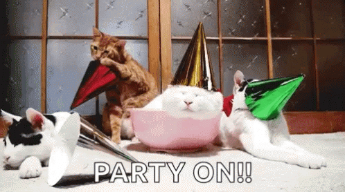 Party Cats GIF - Party Cats Wake Up GIFs