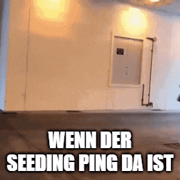 when der seeding ping da ist written on a wall