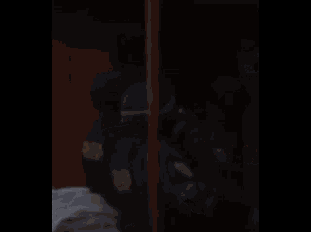 a blurred image of a man in a black uniform with the word politia capitale on it