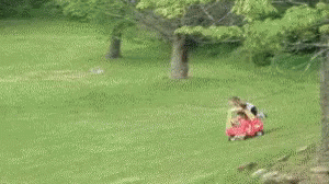 Father Mode: Activated GIF - Save Kids Downhill GIFs