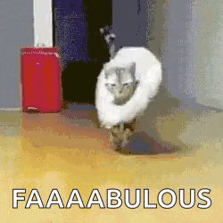 a cat wearing a cone on its head is walking on a floor .