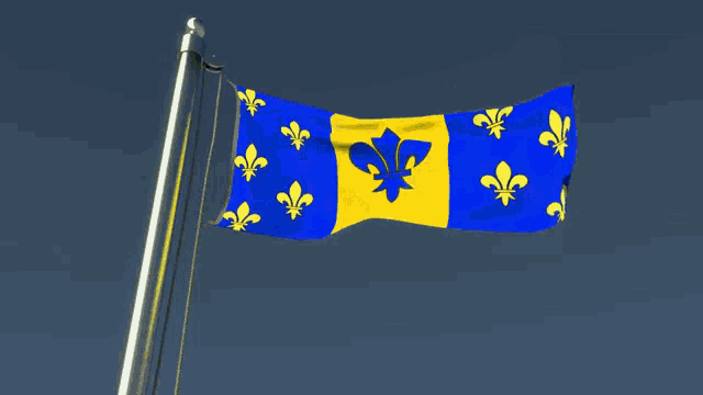 a blue and yellow flag with white fleur de lis on it