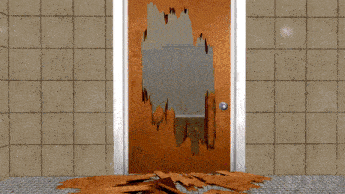 a broken door in a bathroom with a purple flower in the background