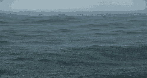 Sea Calm GIF